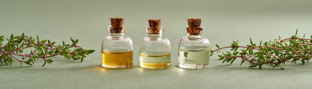 Low Porosity vs High Porosity Hair: Which Oils Actually Absorb