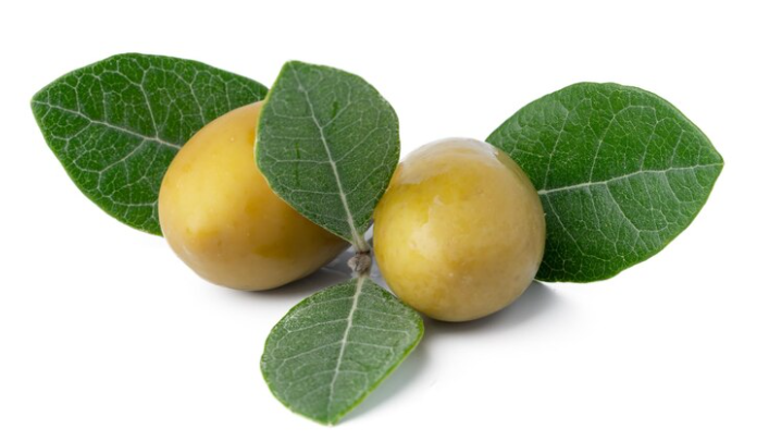 MARULA - AFRICAN BEAUTY INGREDIENTS FOR GLOWING AND DEWY SKIN